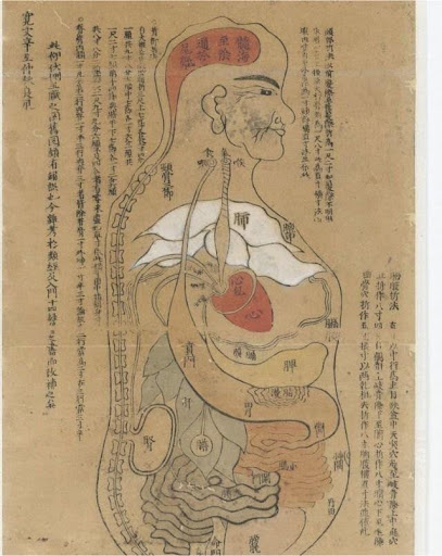 Acupuncture, Jinshin gozo no zu
